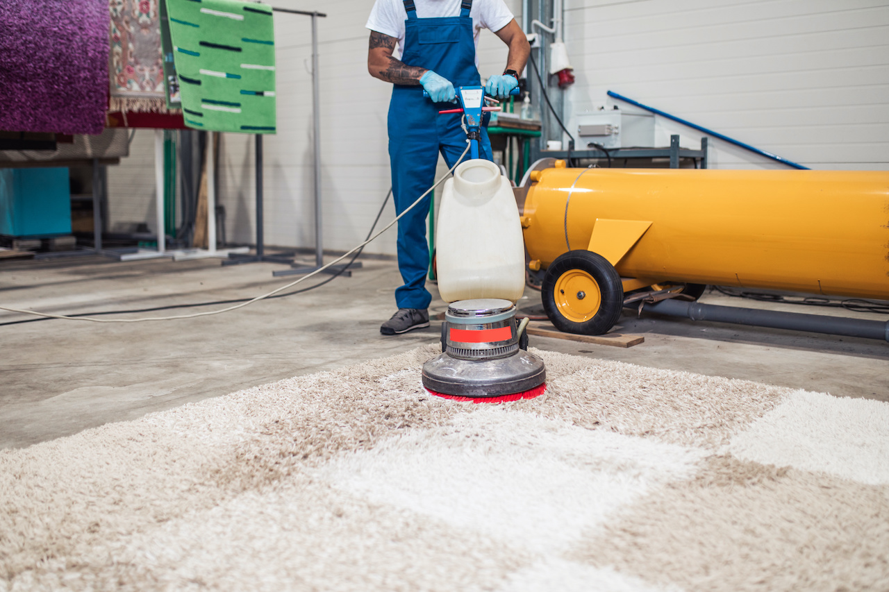 Man cleaning a rug with professional tool